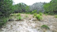 Frio Canyon Real Estate - Martin Martinez