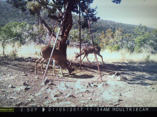 Frio Canyon Real Estate - Martin Martinez