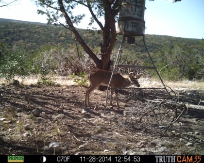 Shawn Gray - Frio Canyon Real Estate