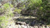 Frio Canyon Real Estate - Martin Martinez
