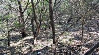 Frio Canyon Real Estate - Martin Martinez