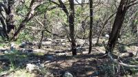Frio Canyon Real Estate - Martin Martinez