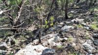 Frio Canyon Real Estate - Martin Martinez