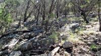 Frio Canyon Real Estate - Martin Martinez