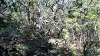 Frio Canyon Real Estate - Martin Martinez