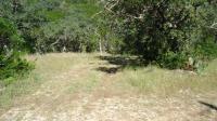 Frio Canyon Real Estate - Martin Martinez