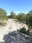 Frio Canyon Real Estate - Martin Martinez