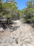 Frio Canyon Real Estate - Martin Martinez