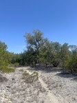 Frio Canyon Real Estate - Martin Martinez