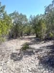 Frio Canyon Real Estate - Martin Martinez
