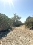 Frio Canyon Real Estate - Martin Martinez