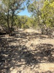 Frio Canyon Real Estate - Martin Martinez