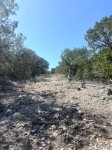 Frio Canyon Real Estate - Martin Martinez