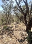 Frio Canyon Real Estate - Martin Martinez
