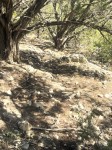 Frio Canyon Real Estate - Martin Martinez