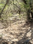 Frio Canyon Real Estate - Martin Martinez