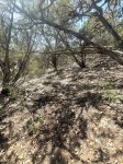 Frio Canyon Real Estate - Martin Martinez