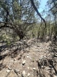 Frio Canyon Real Estate - Martin Martinez