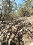 Frio Canyon Real Estate - Martin Martinez