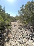 Frio Canyon Real Estate - Martin Martinez