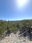 Frio Canyon Real Estate - Martin Martinez