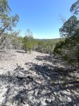 Frio Canyon Real Estate - Martin Martinez
