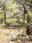 Frio Canyon Real Estate - Martin Martinez