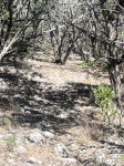 Frio Canyon Real Estate - Martin Martinez