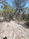 Frio Canyon Real Estate - Martin Martinez