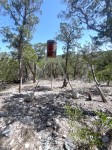 Frio Canyon Real Estate - Martin Martinez