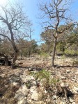 Frio Canyon Real Estate - Martin Martinez