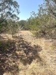 Frio Canyon Real Estate - Martin Martinez