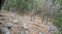 Frio Canyon Real Estate - Martin Martinez