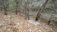Frio Canyon Real Estate - Martin Martinez