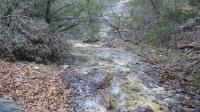 Texas Hill Country and Frio Canyon Properties with Live Water