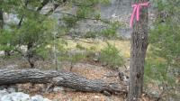 Frio Canyon Real Estate - Martin Martinez