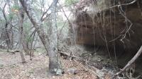 Frio Canyon Real Estate - Martin Martinez