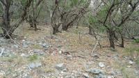 Frio Canyon Real Estate - Martin Martinez
