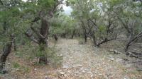 Frio Canyon Real Estate - Martin Martinez