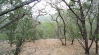 Frio Canyon Real Estate - Martin Martinez