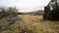 Frio Canyon Real Estate - Martin Martinez