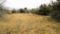 Frio Canyon Real Estate - Martin Martinez