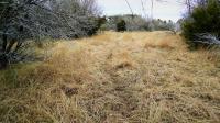 Frio Canyon Real Estate - Martin Martinez