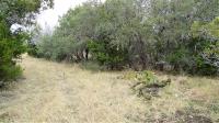 Frio Canyon Real Estate - Martin Martinez