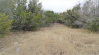 Frio Canyon Real Estate - Martin Martinez