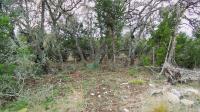 Frio Canyon Real Estate - Martin Martinez