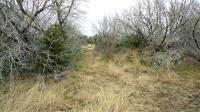 Frio Canyon Real Estate - Martin Martinez