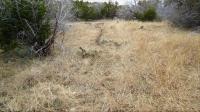 Frio Canyon Real Estate - Martin Martinez