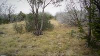 Frio Canyon Real Estate - Martin Martinez