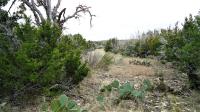 Frio Canyon Real Estate - Martin Martinez